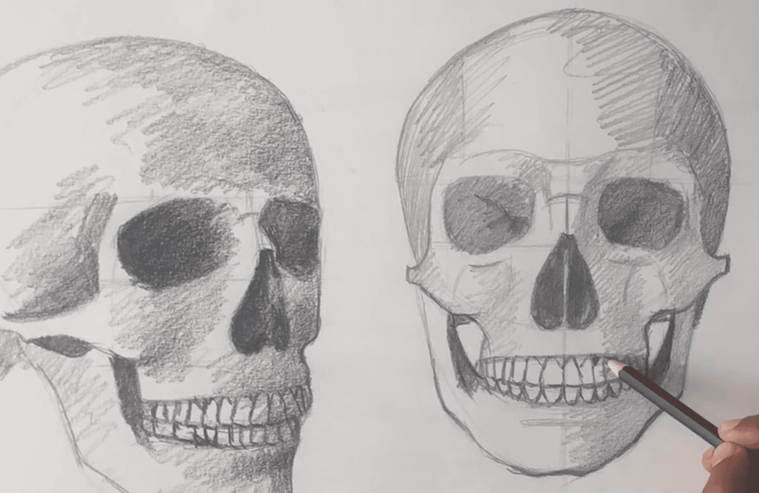 Intermediate Drawing - Anatomy Study